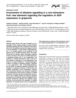 Involvement of ethylene signalling in a non