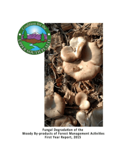 Fungal Degradation Study Y1 - Coalition for the Upper South Platte