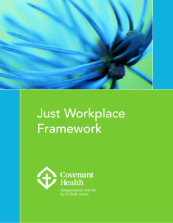 Just Workplace Framework