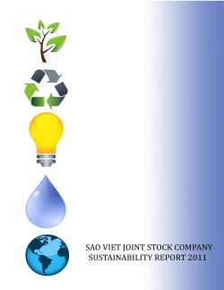 Sao Viet Joint Stock Company - Global Reporting Initiative