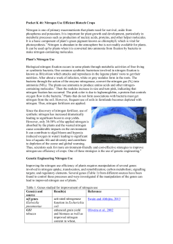 Nitrogen Use Efficient Biotech Crops