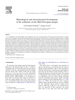 Mineralogical and microstructural development of the