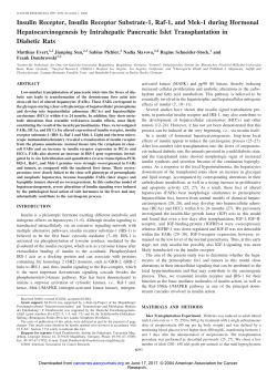 Insulin Receptor, Insulin Receptor Substrate-1