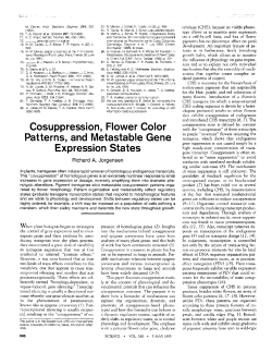Cosuppression, Flower Color Patterns, and Metastable