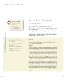 Mechanisms of Stomatal Development