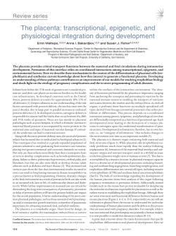 The placenta: transcriptional, epigenetic, and