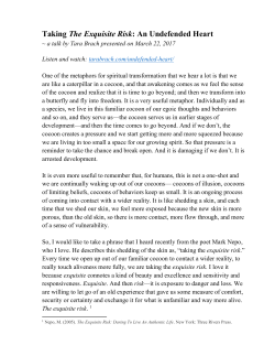 Taking The Exquisite Risk : An Undefended Heart