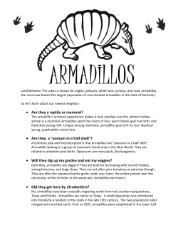 Armadillo Fact Sheet - Land Between the Lakes National Recreation