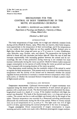 mechanisms for the control of body temperature in the moth