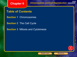 cell cycle