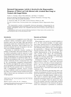Increased Lipoxygenase Activity is Involved in the