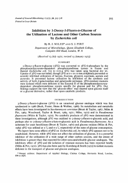 Glucose of the Utilization of Lactose and Other
