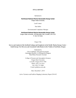 FINAL REPORT Submitted to Lead Contact