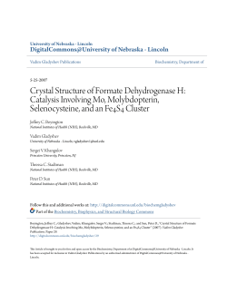 Crystal Structure of Formate Dehydrogenase H