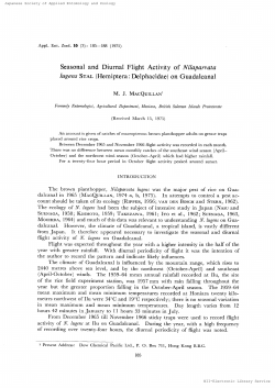 lugens Stal (Hemiptera : Delphacidae) on Guadalcanal