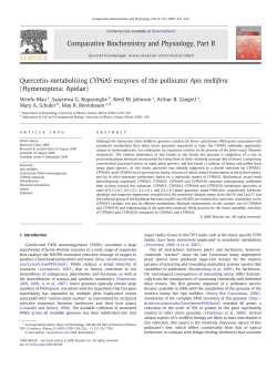 Quercetin-metabolizing CYP6AS enzymes of the pollinator Apis