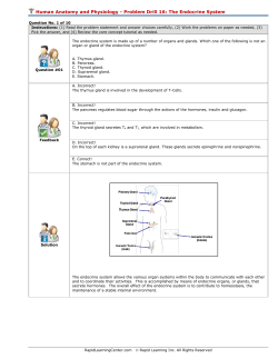 Chemistry Problem Solving Drill