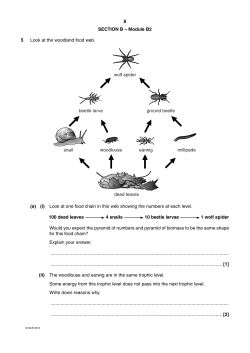 8 SECTION B &ndash; Module B2 5 Look at the woodland food web. wolf