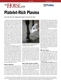 Platelet-Rich Plasma - Allegheny Equine Veterinary Service