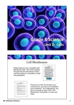 Grade 8 Science