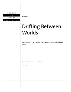 Drifting Between Worlds - Center for Court Innovation