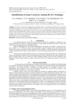 Identification of Some Carnivore Animals By Pcr Technique