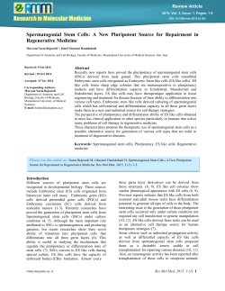 Spermatogonia stem cells - Research in Molecular Medicine