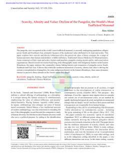 pangolin wildlife trade