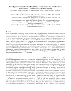 Snow Mountain Fox - Yellowstone Ecological Research Center