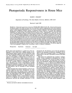 Photoperiodic Responsiveness in House Mice