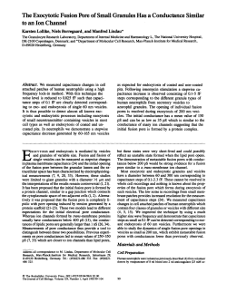The Exocytotic Fusion Pore of Small Granules Has