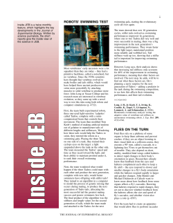 i ROBOTS` SWIMMING TEST FLIES ON THE TURN