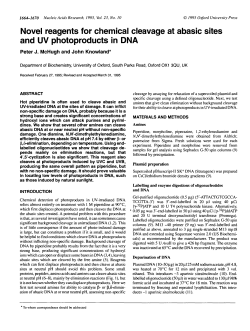 Novel reagents for chemical cleavage at abasic sites and UV
