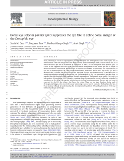 Dorsal eye selector pannier (pnr) suppresses the eye fate to define