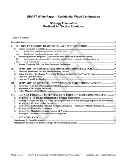 DRAFT White Paper &ndash; Residential Wood Combustion Strategy