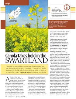 SWARTLAND