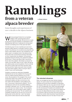 from a veteran alpaca breeder