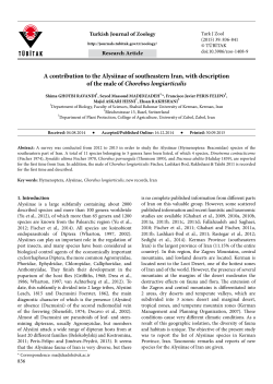 A contribution to the Alysiinae of southeastern