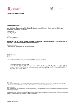 Iridescent flowers? Contribution of surface structures to optical