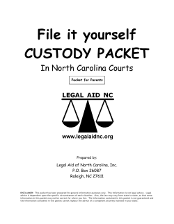 File it yourself CUSTODY PACKET