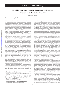 Editorial Commentary