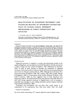 REACTIVATION OF EUGLENOID MOVEMENT AND FLAGELLAR