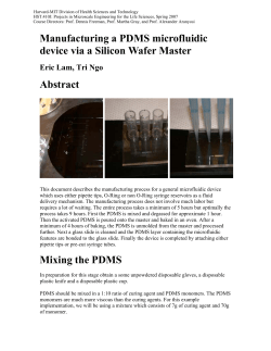 Manufacturing a PDMS microfluidic device via a Silicon Wafer Master