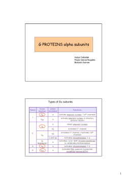 G PROTEINS alpha subunits