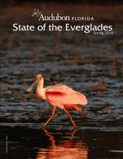 State of the Everglades
