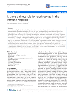 Is there a direct role for erythrocytes in the immune response