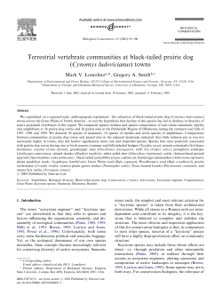 Terrestrial vertebrate communities at black