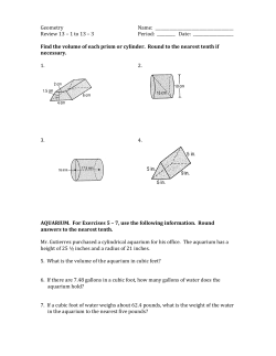 Review Worksheet 13-1 to 13-3