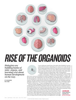 Biologists are building banks of mini