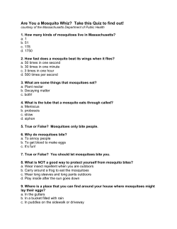 Are You a Mosquito Whiz? Take this Quiz to find out!